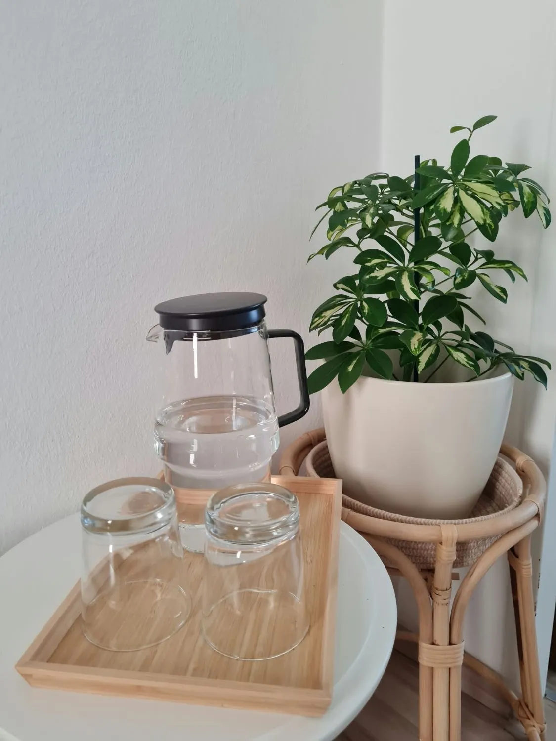 Wasserkaraffe mit zwei Gläsern auf einem Holztablett, daneben eine Zimmerpflanze